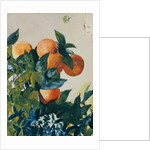 Oranges on a Branch, 1885 by Winslow Homer