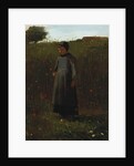 The Flowers of the Field by Winslow Homer