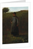 The Flowers of the Field by Winslow Homer