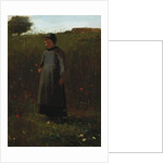 The Flowers of the Field by Winslow Homer