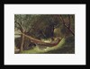 Girl in the Hammock, 1873 by Winslow Homer
