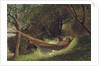 Girl in the Hammock, 1873 by Winslow Homer