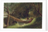 Girl in the Hammock, 1873 by Winslow Homer