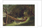 Girl in the Hammock, 1873 by Winslow Homer