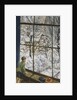 Looking at the Snow by Christopher Richard Wynne Nevinson