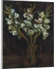 The Blue Gladioli, c.1929 by Chaim Soutine