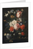 A rose, a tulip, morning glory and other flowers in a glass vase on a stone ledge, 1671 by Nicholaes van Verendael