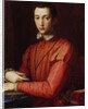 Portrait of Francesco I de' Medici by Agnolo di Cosimo Bronzino