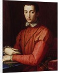 Portrait of Francesco I de' Medici by Agnolo di Cosimo Bronzino