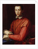 Portrait of Francesco I de' Medici by Agnolo di Cosimo Bronzino