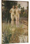 Two Friends by Anders Leonard Zorn