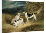 The Duke of Rutland's Hounds with Belvoir Castle in the Distance, 1828 by Henry Perlee Parker