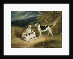 The Duke of Rutland's Hounds with Belvoir Castle in the Distance, 1828 by Henry Perlee Parker