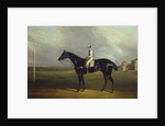 Mr R.O. Gascoigne's 'Jerry' with B. Smith up on Doncaster Racecourse by David of York Dalby