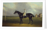 Mr R.O. Gascoigne's 'Jerry' with B. Smith up on Doncaster Racecourse by David of York Dalby