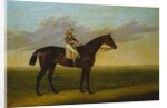 Mr Richard Watt's Bay Racehorse 'Rockingham' with Sam Darling up, on a Racecourse by David of York Dalby