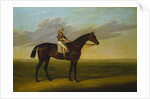 Mr Richard Watt's Bay Racehorse 'Rockingham' with Sam Darling up, on a Racecourse by David of York Dalby