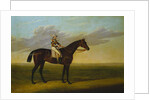 Mr Richard Watt's Bay Racehorse 'Rockingham' with Sam Darling up, on a Racecourse by David of York Dalby