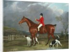 A Huntsman and Hounds, 1824 by David of York Dalby