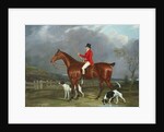 A Huntsman and Hounds, 1824 by David of York Dalby