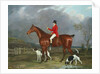 A Huntsman and Hounds, 1824 by David of York Dalby