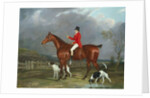 A Huntsman and Hounds, 1824 by David of York Dalby