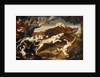 A Boar Hunt by Frans Snyders