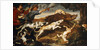 A Boar Hunt by Frans Snyders