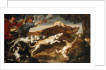 A Boar Hunt by Frans Snyders