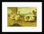 A Cock Fight by Frans Snyders