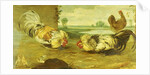 A Cock Fight by Frans Snyders
