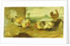A Cock Fight by Frans Snyders
