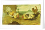 A Cock Fight by Frans Snyders