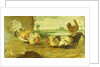A Cock Fight by Frans Snyders