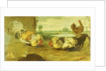 A Cock Fight by Frans Snyders