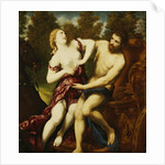 The Rape of Proserpine by Paris Bordone