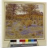 Bluebell Copse, 1889 by Helen Allingham
