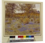 Bluebell Copse, 1889 by Helen Allingham