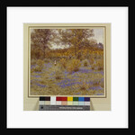 Bluebell Copse, 1889 by Helen Allingham