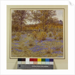 Bluebell Copse, 1889 by Helen Allingham