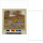 Bluebell Copse, 1889 by Helen Allingham