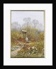 An Old Well, Brook, Surrey by Helen Allingham