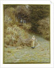 In the Primrose Wood by Helen Allingham