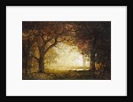 Forest Sunrise by Albert Bierstadt