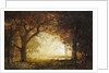 Forest Sunrise by Albert Bierstadt