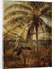 Palm Tree, Nassau, 1892 by Albert Bierstadt