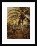 Palm Tree, Nassau, 1892 by Albert Bierstadt