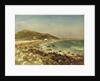 Coastal Scene by Albert Bierstadt
