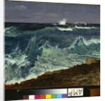 Seascape by Albert Bierstadt