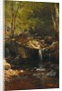 Thompson Cascade, White Mountains by Albert Bierstadt